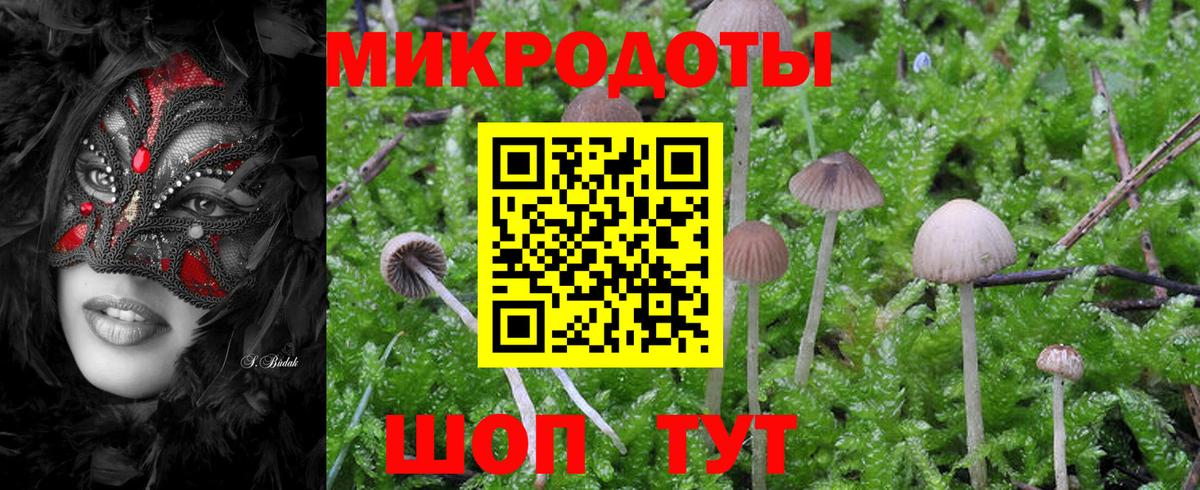 Артём  Галлюциногенные грибы GOLDEN TEACHER  Вход с VPN 