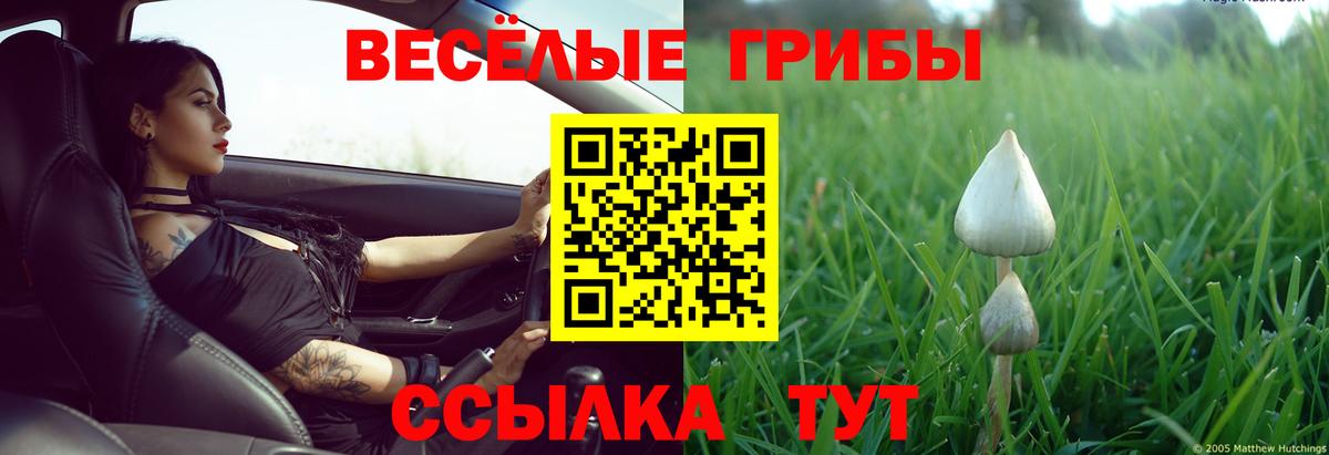 Псилоцибиновые грибы Magic Shrooms Артём